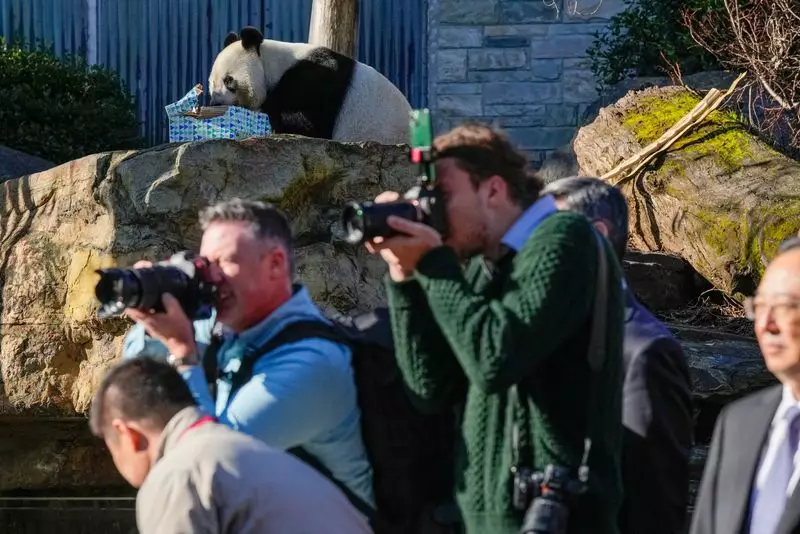 China Premier Li Keqiang Announces Panda Gift to Australia During Visit