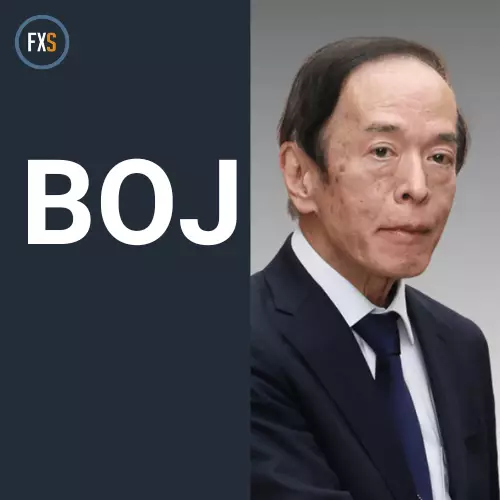 Future Monetary Strategy of the Bank of Japan: A Closer Look