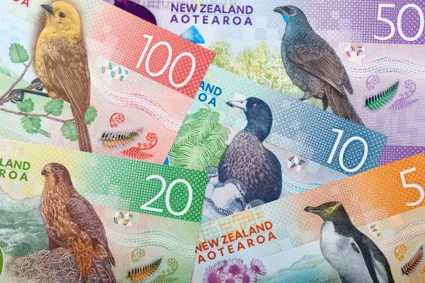 Deciphering the NZD/USD Downtrend: Implications and Future Projections