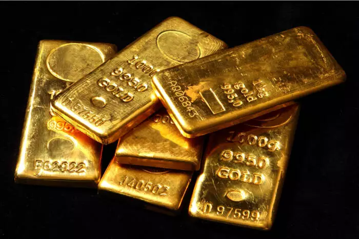 Empower Your Financial Future: Discover the True Cost of Ignoring Risks