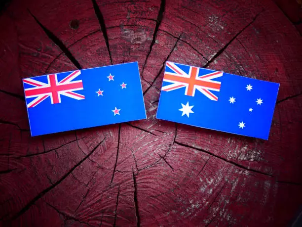 Charting New Horizons: The AUD and NZD Strengthen Against the USD
