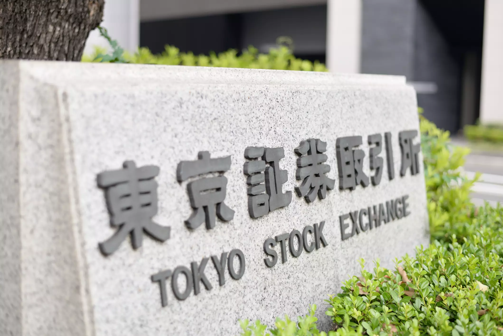 Decoding the Nikkei 225’s Ascent: Why Caution Trumps Celebration