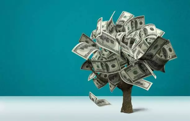 Market Serenity: Why Subtle Signals Trump Automatic Reactions in Today’s Financial Landscape