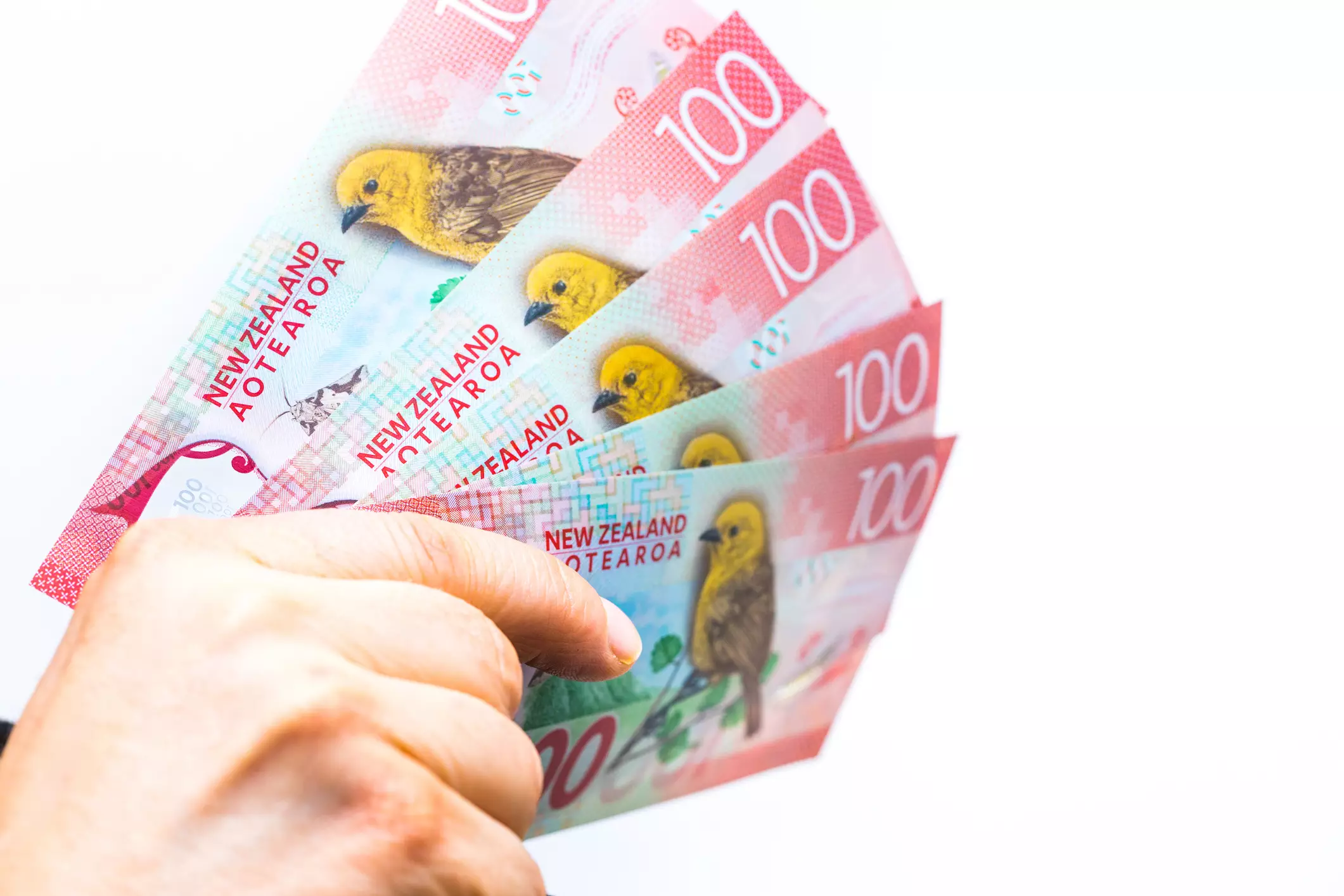 Uncovering the Hidden Strengths in NZD/USD Amidst Market Downturns